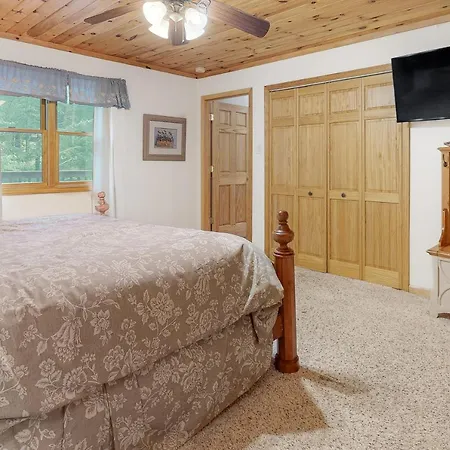 Cabin Fever-2